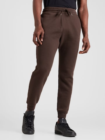 Tapered Pantaloni di HOLLISTER in marrone: frontale