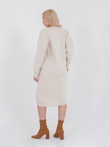 FRESHLIONS Knitted dress 'Rahel' in Beige