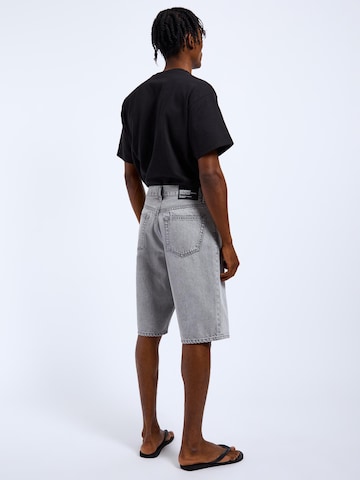 Dr. Denim Loose fit Jeans 'Omar' in Grey