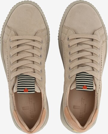 Crickit Sneakers 'HARPER' in Beige