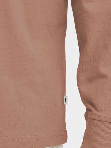 !Solid Sweatshirt ' SDORWELL ' in Brown