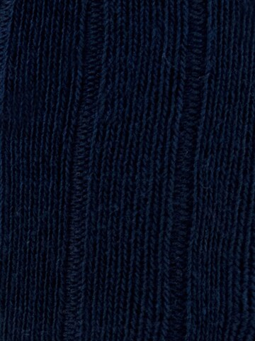 EWERS Socks in Blue