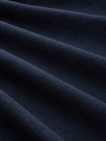 TOM TAILOR Trui in Blauw