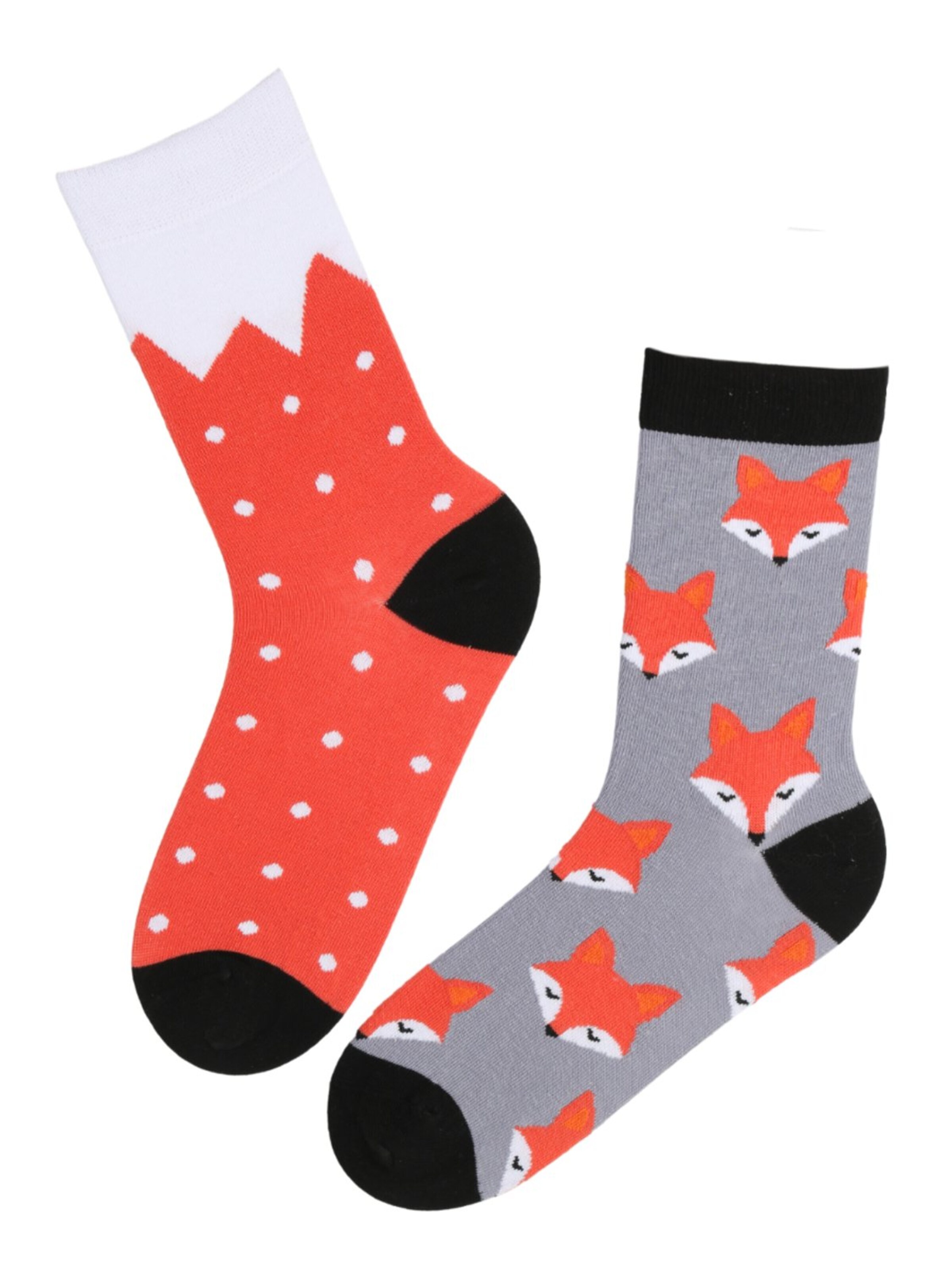 Sokisahtel Sokken 'FOX cotton socks' in Gemengde kleuren: voorkant