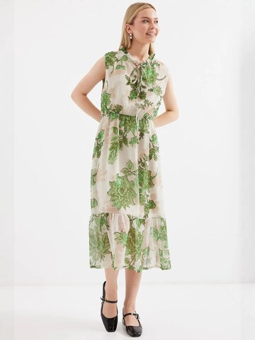 Bigdart Midi Kleid in Grün