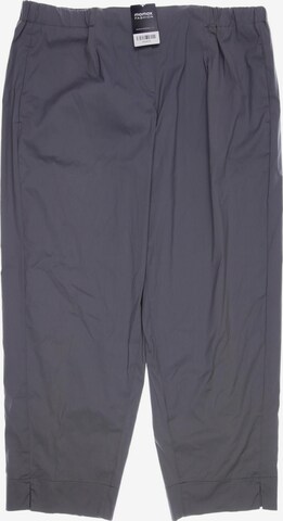 Sallie Sahne Pants in XXXL in Grey: front