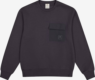 Champion Authentic Athletic Apparel Sweatshirt in Grey: front