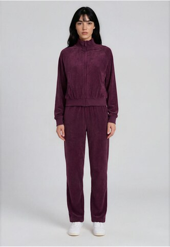 Regular Pantalon Karl Kani en violet : devant