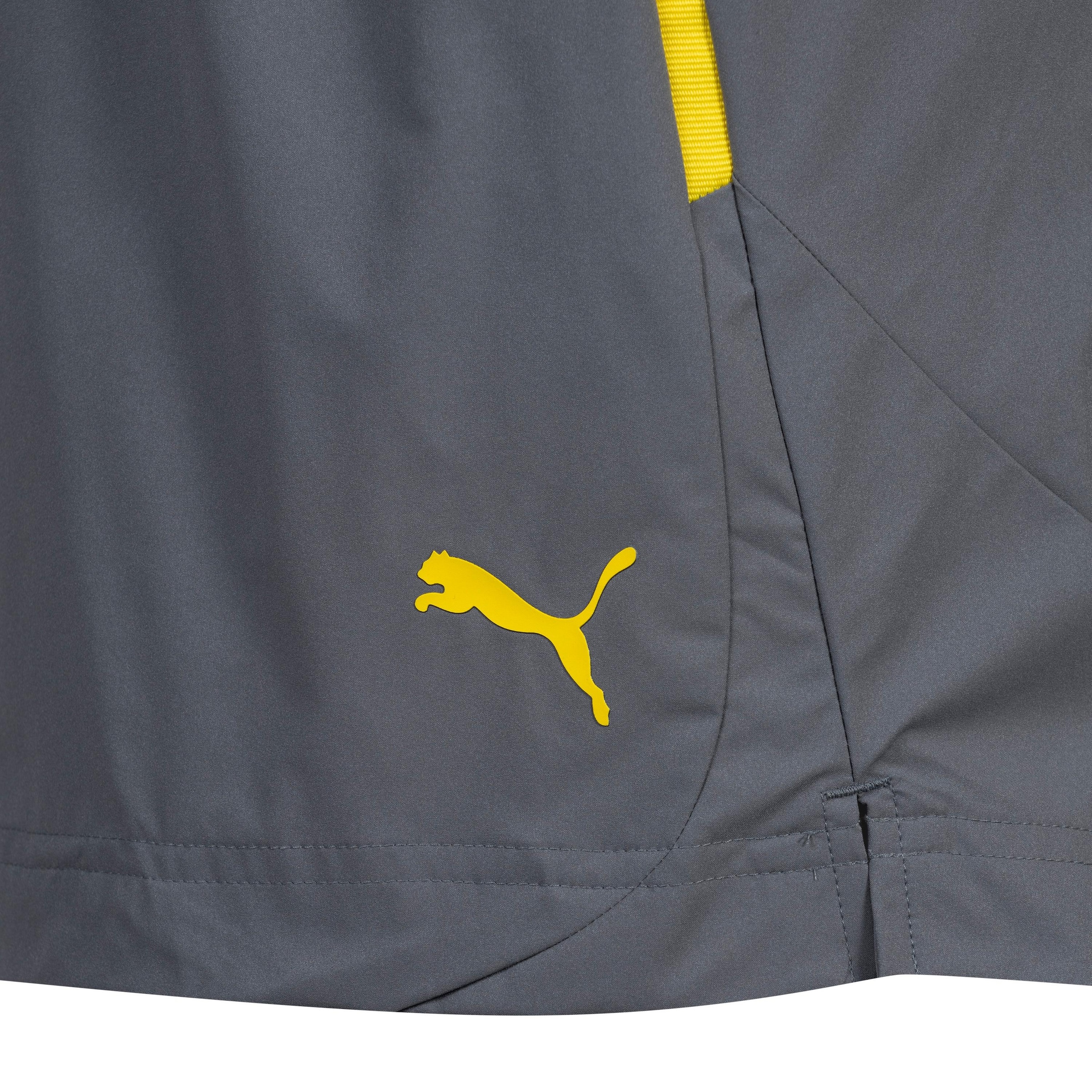 PUMA Regularen Športne hlače 'Borussia Dortmund' | siva barva