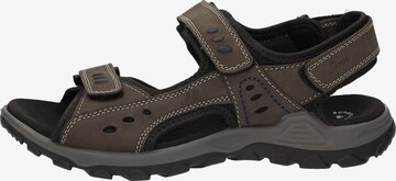 SIOUX Sandalen 'Oneglio-702' in Bruin