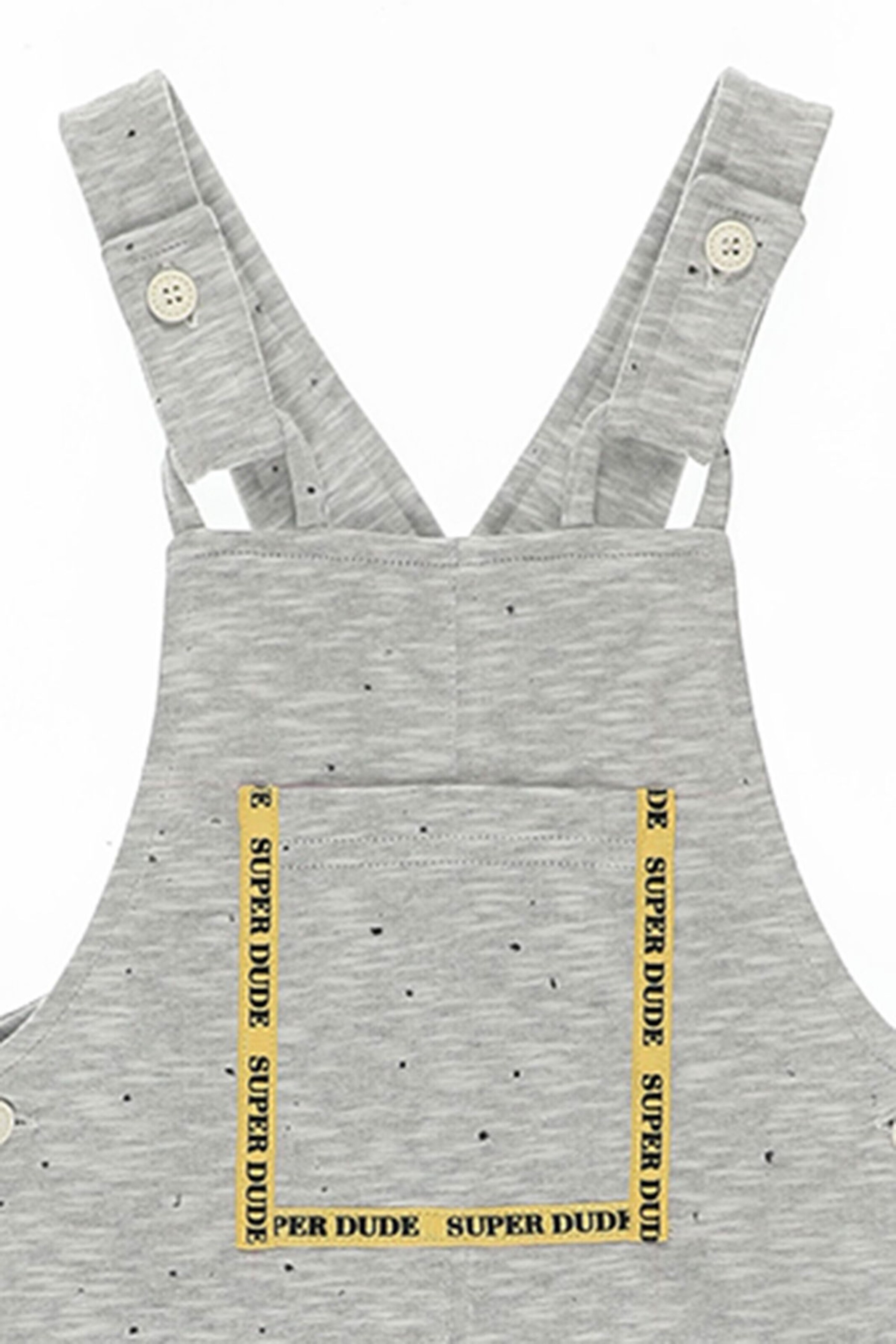 Panço Regular Overalls in Grey