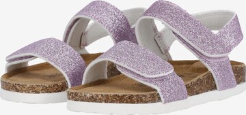 ZigZag Sandals & Slippers in Purple