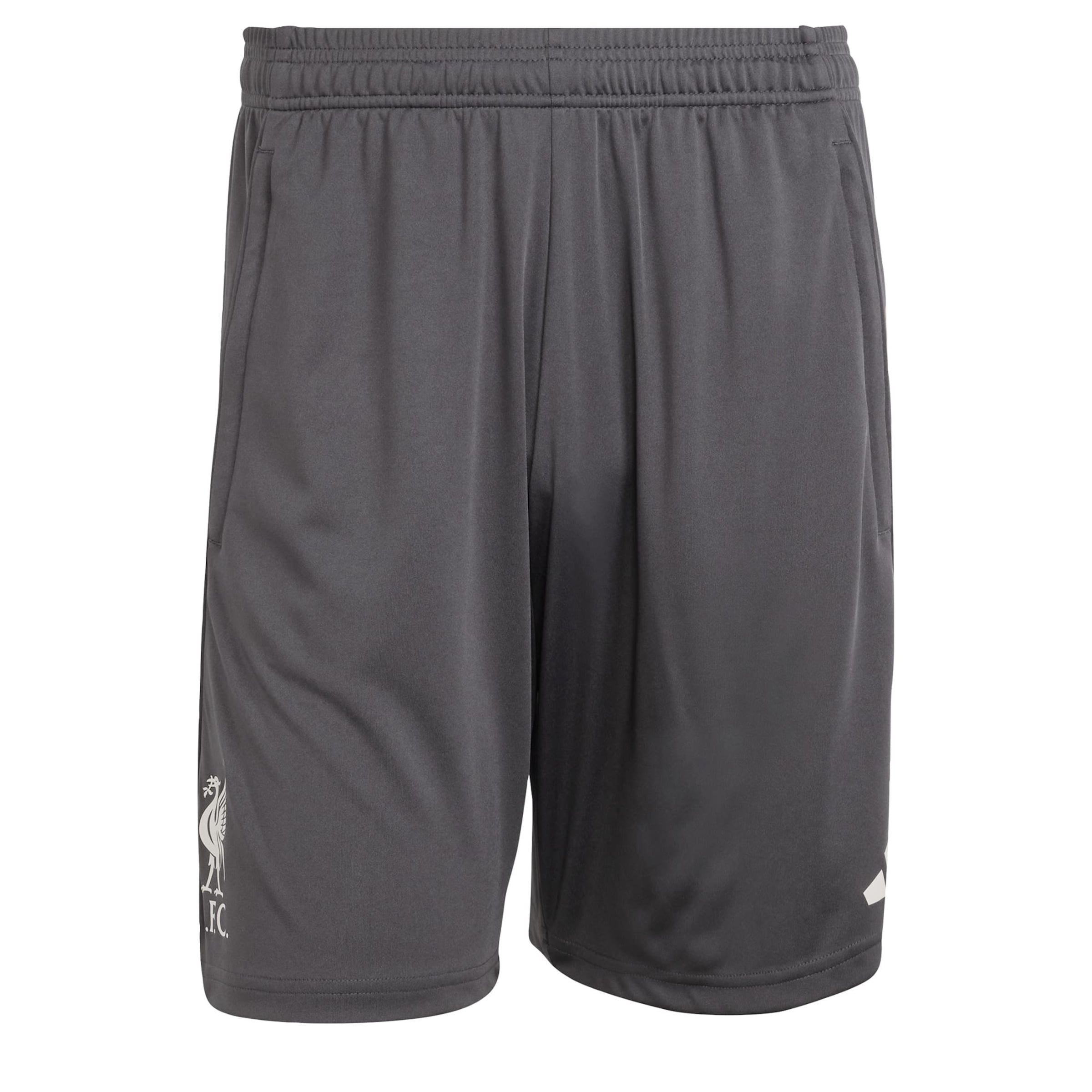 regular Pantaloni sportivi 'FC Liverpool Tiro 25 Competition' di ADIDAS PERFORMANCE in grigio: frontale