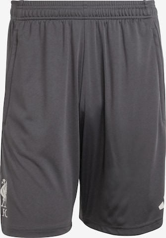 regular Pantaloni sportivi 'FC Liverpool Tiro 25 Competition' di ADIDAS PERFORMANCE in grigio: frontale