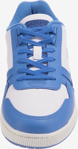 LACOSTE Sneakers in Blue