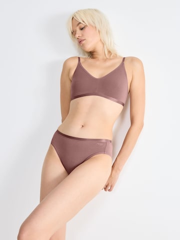SLOGGI Slip ' GO Daily Cotton Tai ' in Bruin