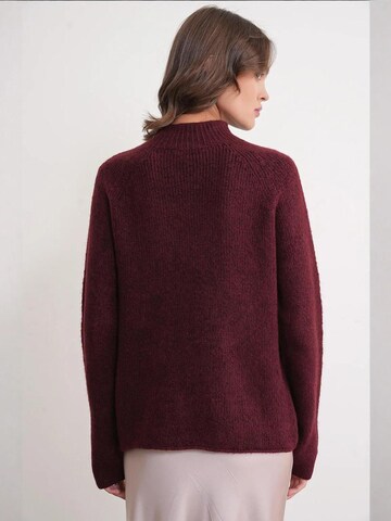 Pullover 'Pullover' di MixRay in rosso