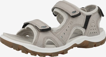ECCO Sandals 'Offroad Lite' in Grey: front