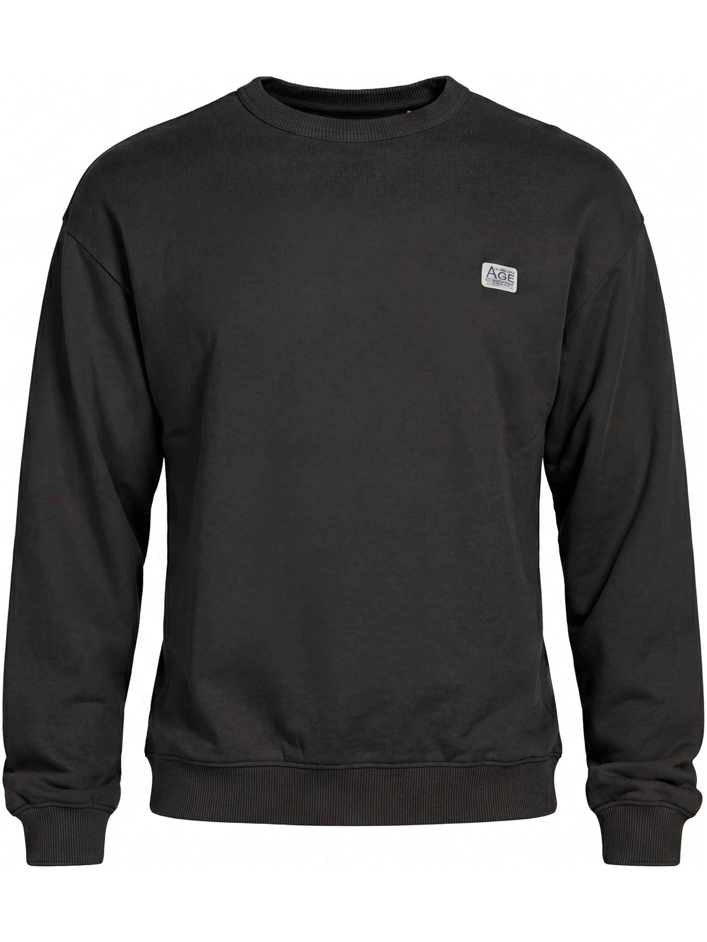 Carrera Jeans Sweatshirt 'Boxy Fit'‌‌‌‌‌‌ in Grau: Vorderseite