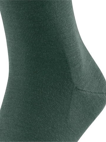 FALKE Socks 'Airport' in Green