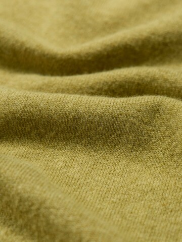 Seasalt Cornwall Pullover 'Prow' i grøn