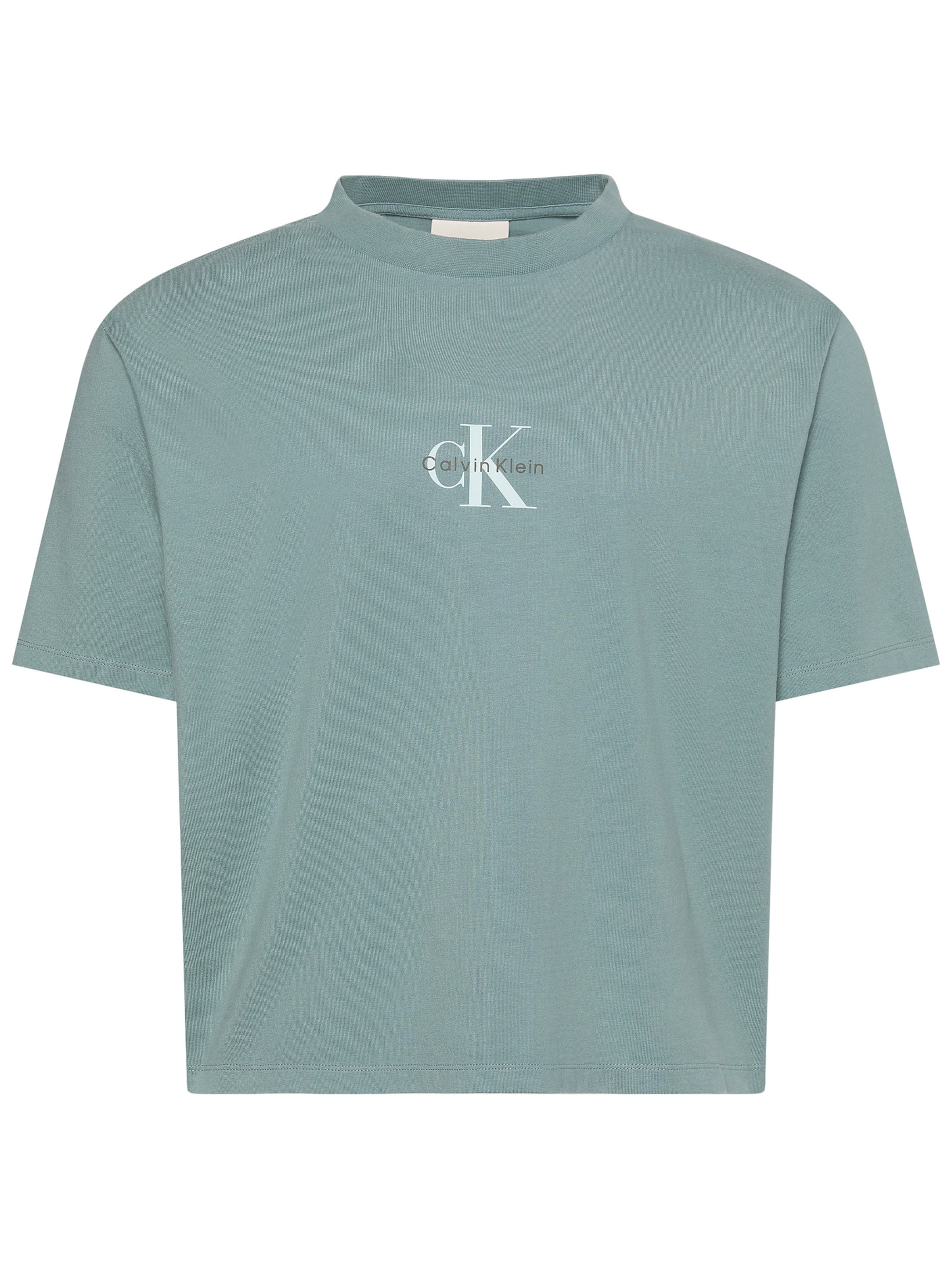 T-Shirt Calvin Klein Jeans en gris : devant