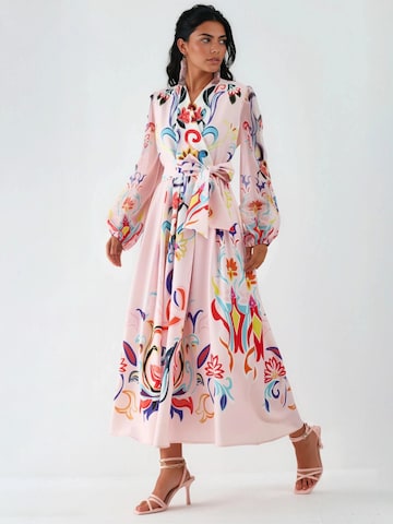 MSN Collection Maxi Kleid in Pink