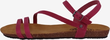 Sandales à lanières Plakton en rouge : devant