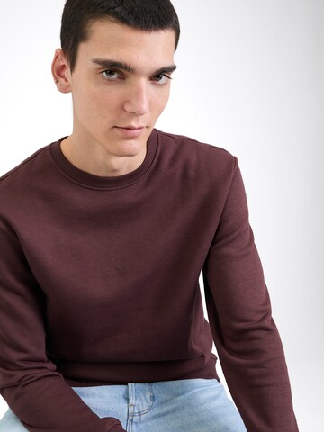 Only & Sons Sweatshirt 'ONSConnor' i brun