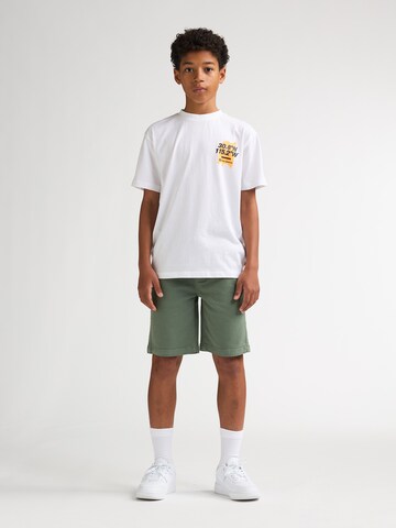 Petrol Industries Regular Hose in Grün