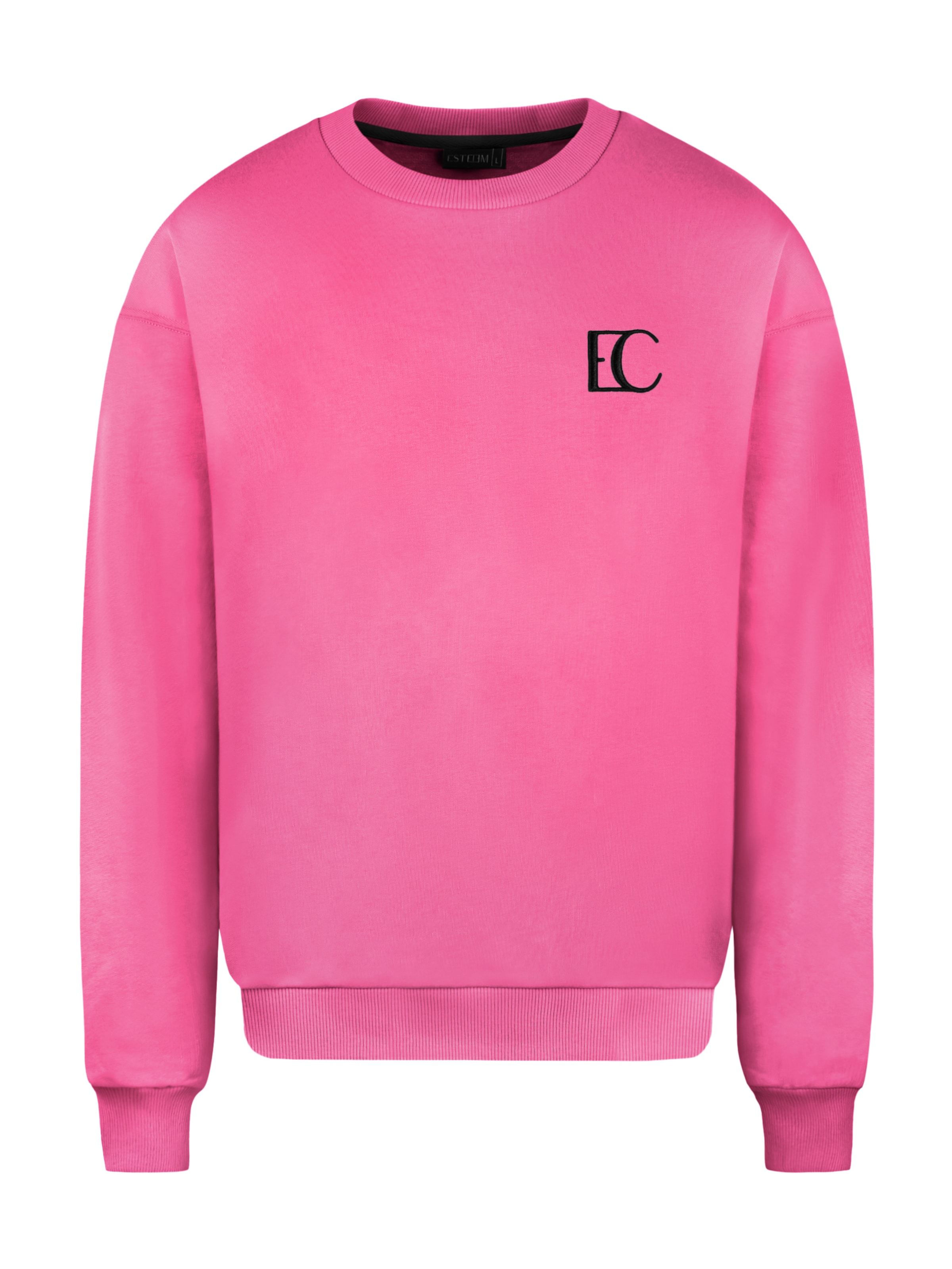 Felpa di ESTEEM in rosa: frontale