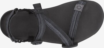 Xero Shoes Sandals 'Z-Trail EV' in Black