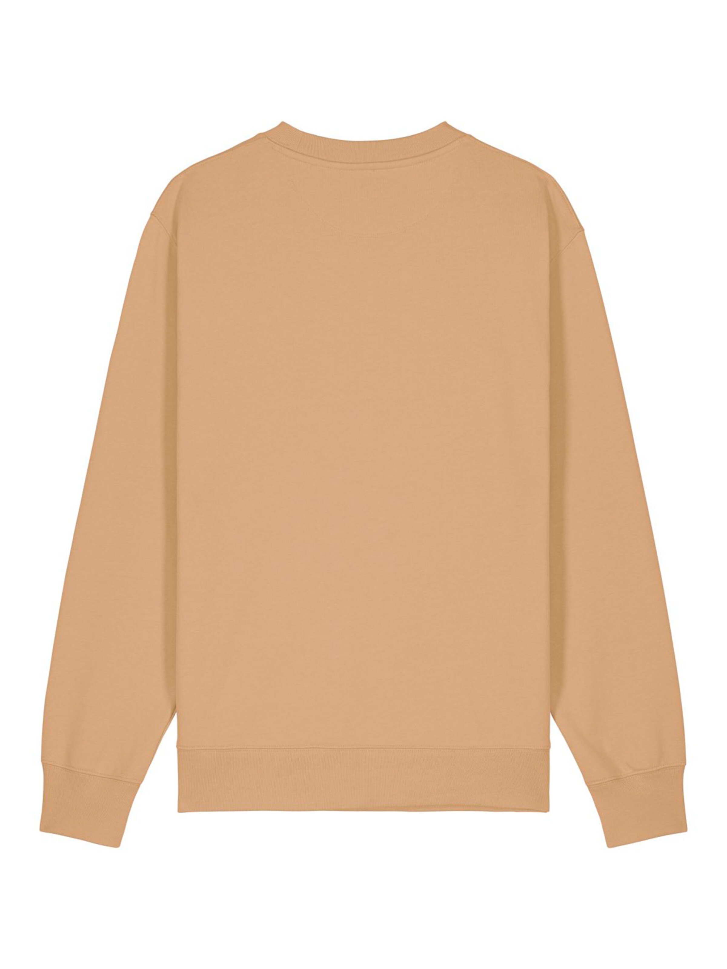glore Sweatshirt 'Raiiner' in Brown