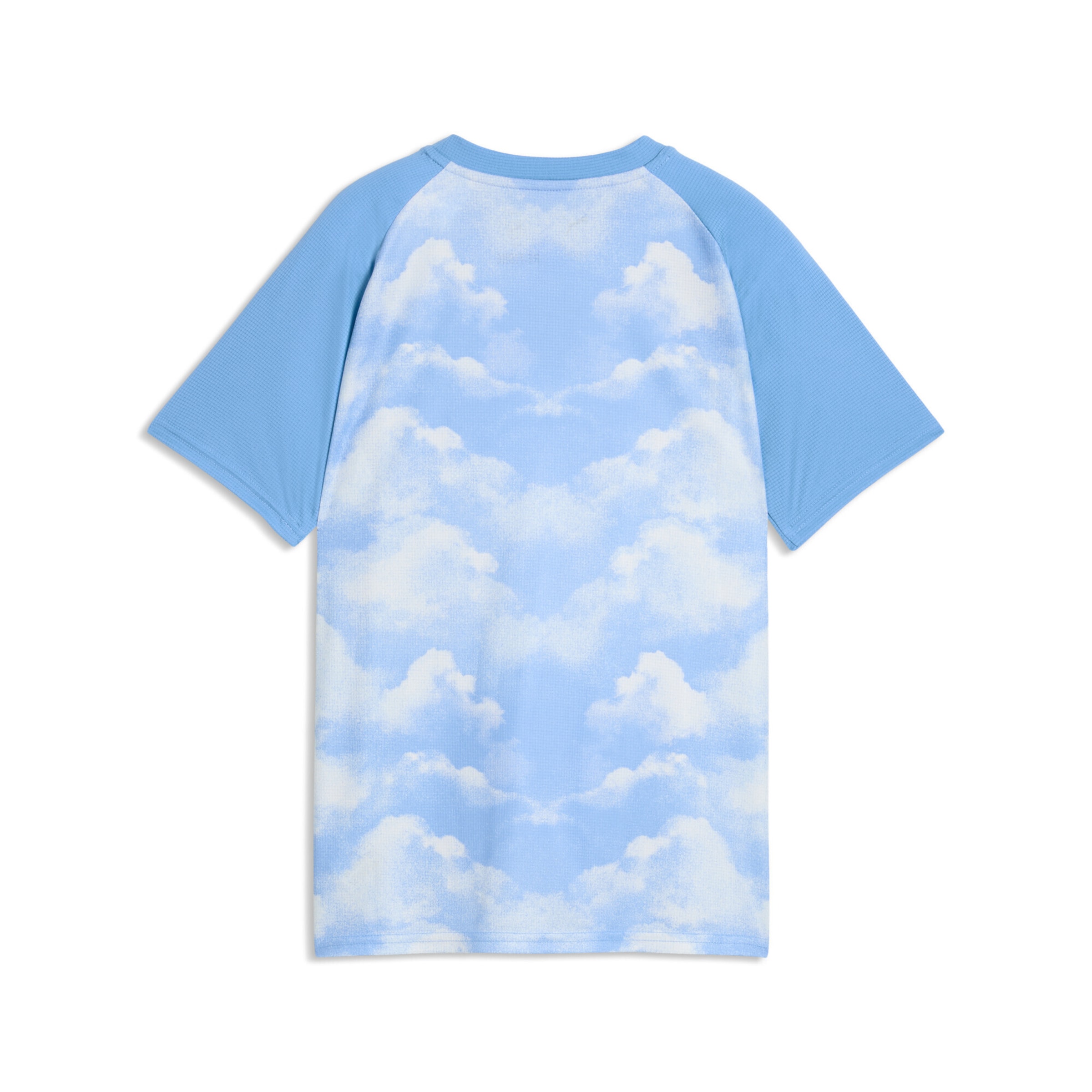 PUMA Functioneel shirt 'Manchester City' in Blauw