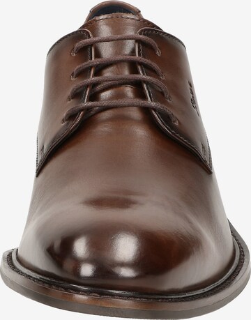 SIOUX Lace-Up Shoes in Brown