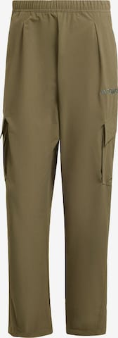 ADIDAS TERREX - Pantalón de montaña 'Xploric' en verde: frente