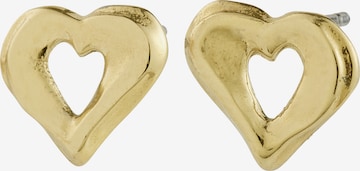 Pilgrim Korvakoru 'Iris' värissä kulta: etupuoli