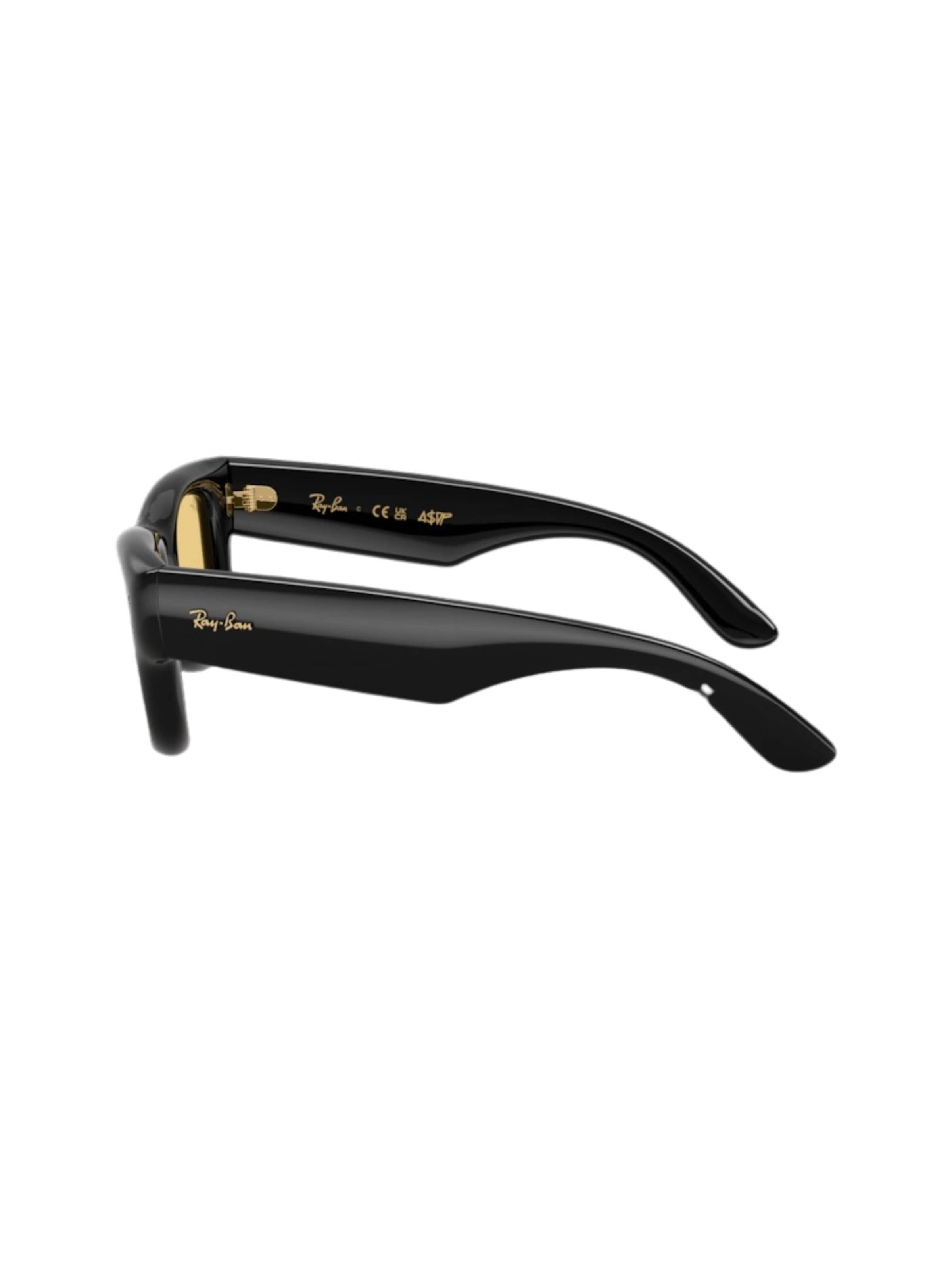 Ray-Ban Sunglasses in Black