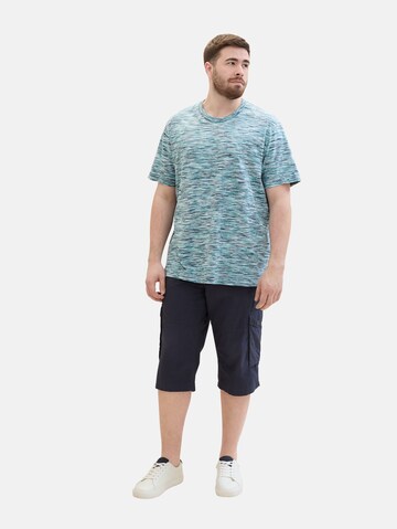 TOM TAILOR Men + Regular Shorts in Blau