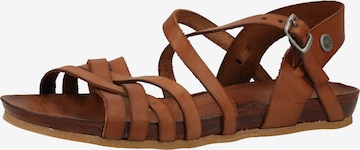 COSMOS COMFORT Sandalen met riem in Bruin: voorkant