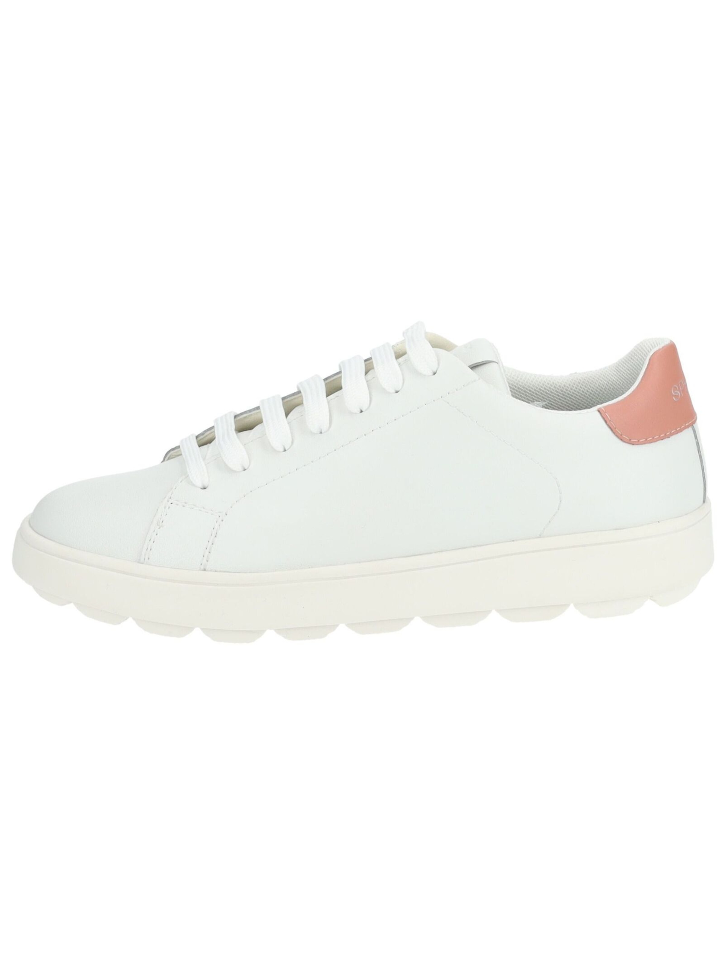 GEOX Sneakers in White