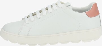 Baskets basses GEOX en blanc