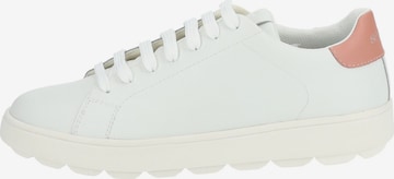 GEOX Sneakers in White