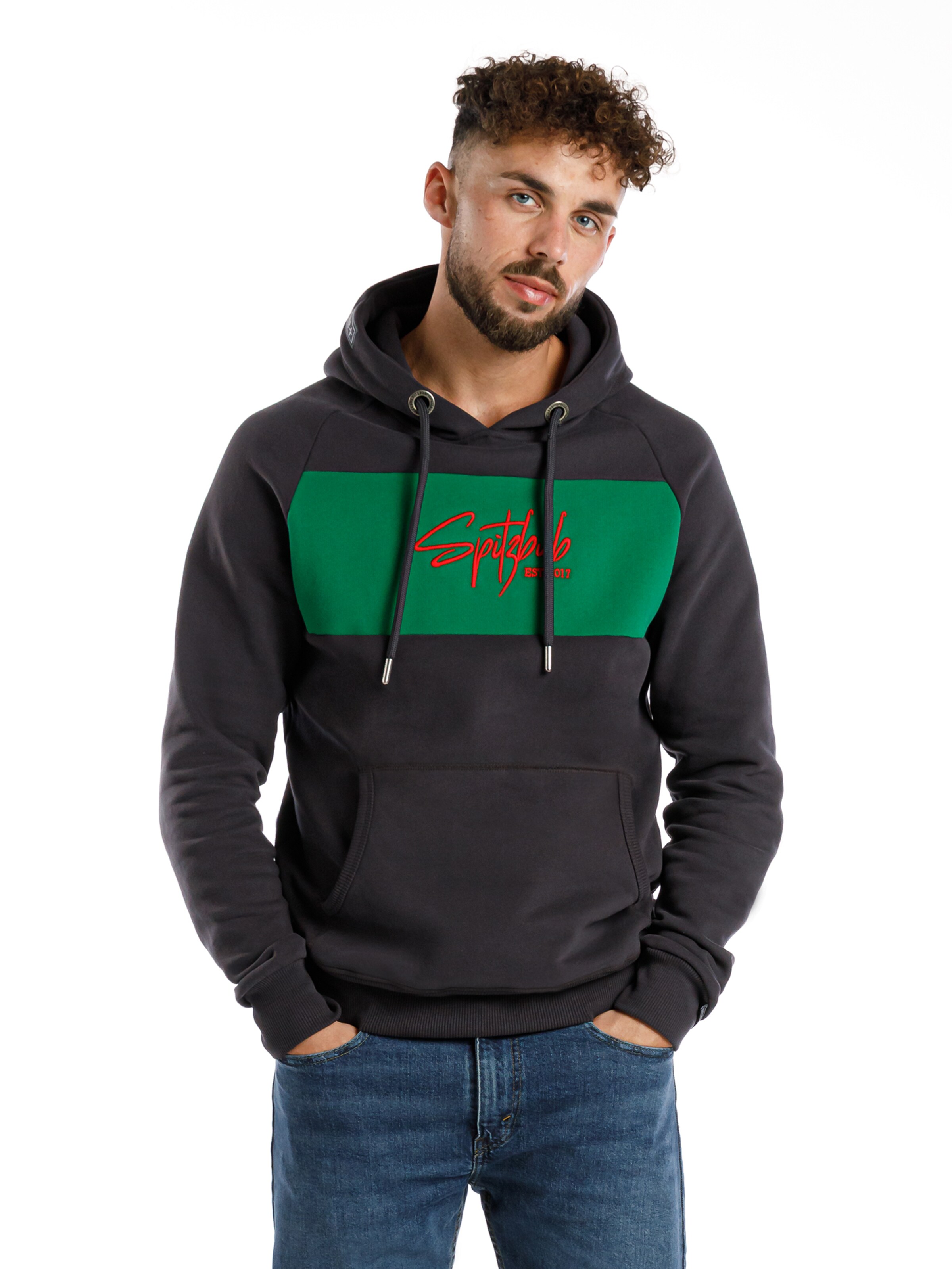 SPITZBUB Sweatshirt' Unframed Street' in Grau: Vorderseite