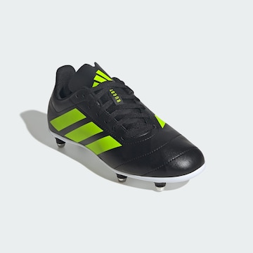 ADIDAS PERFORMANCE Sportschuh in Schwarz