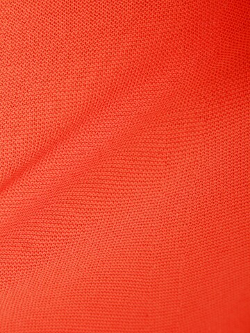 DRYKORN Sweater 'Mimas' in Orange