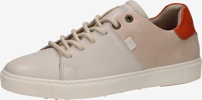 Sneaker bassa SANSIBAR di colore rosa chiaro / rosso / bianco, Visualizzazione prodotti