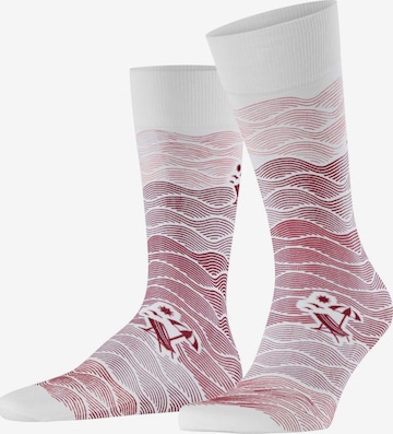 FALKE Socken 'Plage' in Rot: Vorderseite