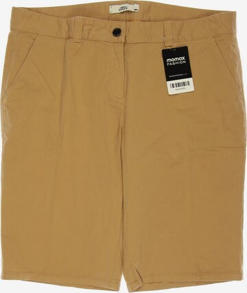 0039 Italy Shorts in L in Beige: front
