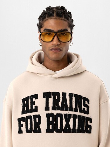 Sweat-shirt 'Dayan' Dandalo en gris